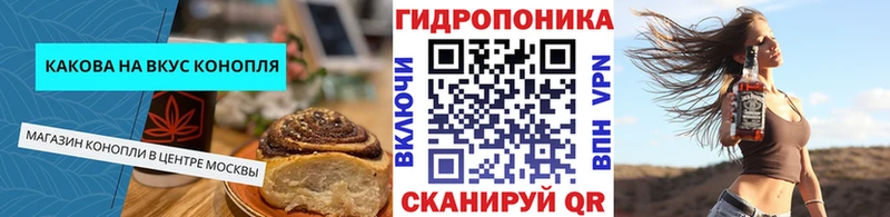 сколько стоит  hydra как войти  Canna-Cookies конопля  Северодвинск 