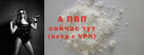 прущие грибы Волоколамск