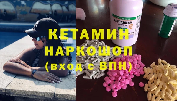 прущие грибы Волоколамск