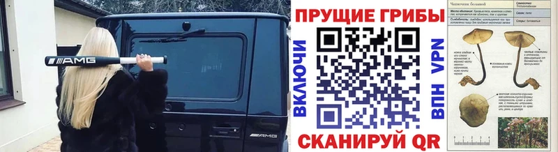 Псилоцибиновые грибы ЛСД  цены наркотик  Северодвинск 