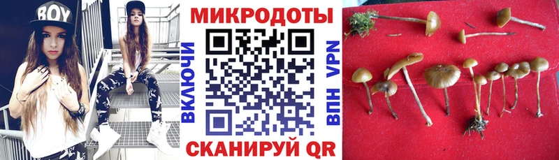 Псилоцибиновые грибы Cubensis Северодвинск